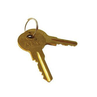 APG Cash Drawer SET OF TWO KEYS A07 FOR S100 MODEL T